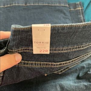 Torrid 22R brand New never used